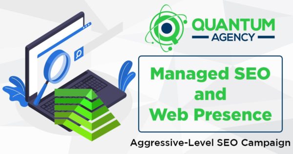 Managed Web Presence SEO - Advanced-Level/High Competition - Monthly Recurring